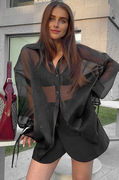Sheer Puff Sleeve Collared  Elegant Workwear Blouse