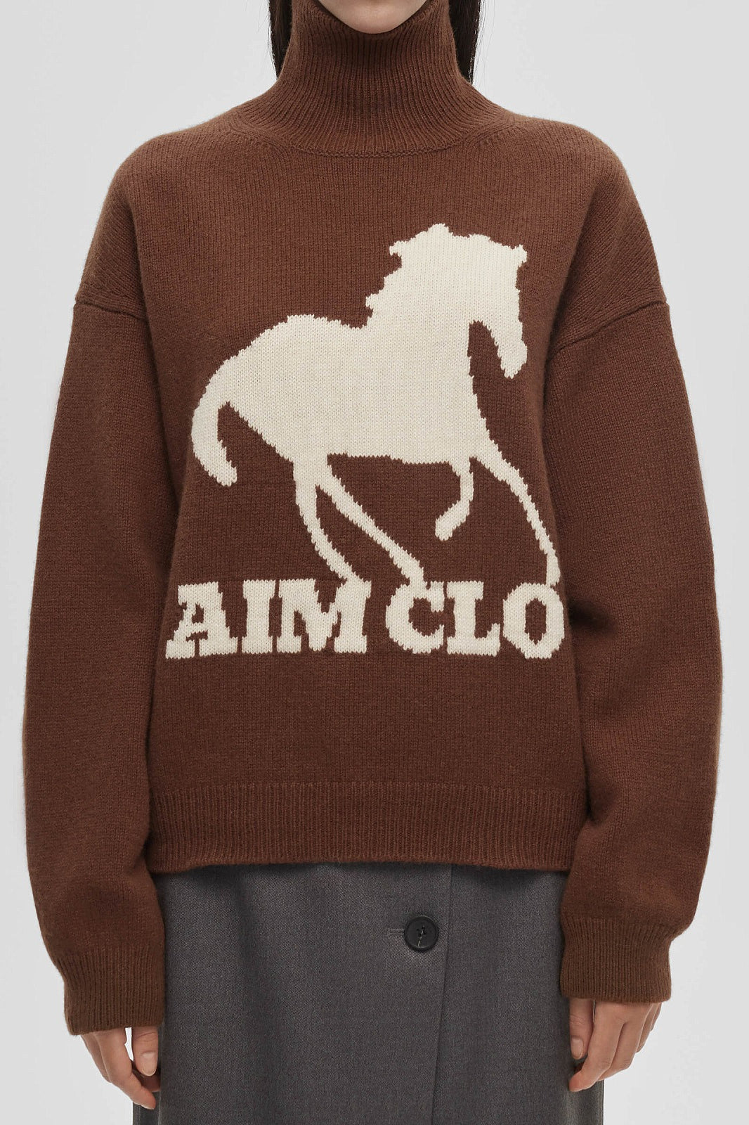 Animal Print Colorblock Turtle Sweatshirt