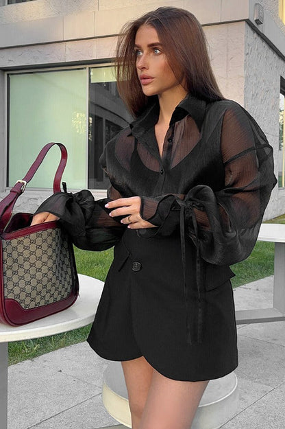 Sheer Puff Sleeve Collared  Elegant Workwear Blouse