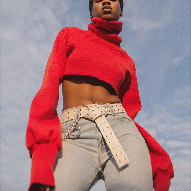 Trendy Casual Loose Sexy Fashionable Solid TurtleNeck Long Sleeve Knit Crop Sweater
