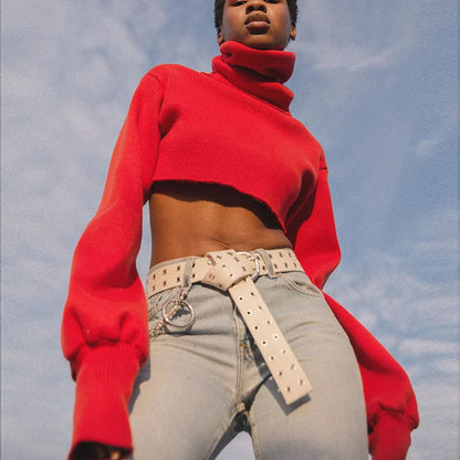 Trendy Casual Loose Sexy Fashionable Solid TurtleNeck Long Sleeve Knit Crop Sweater