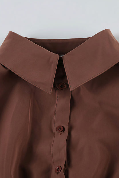 Sweet Spicy Collared Puff Sleeve Blouse