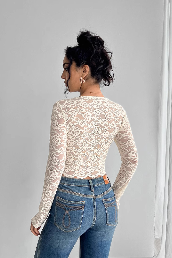 Solid Lace V Neck  Long Sleeve Chic Crop Top
