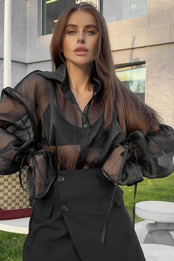 Sheer Puff Sleeve Collared  Elegant Workwear Blouse