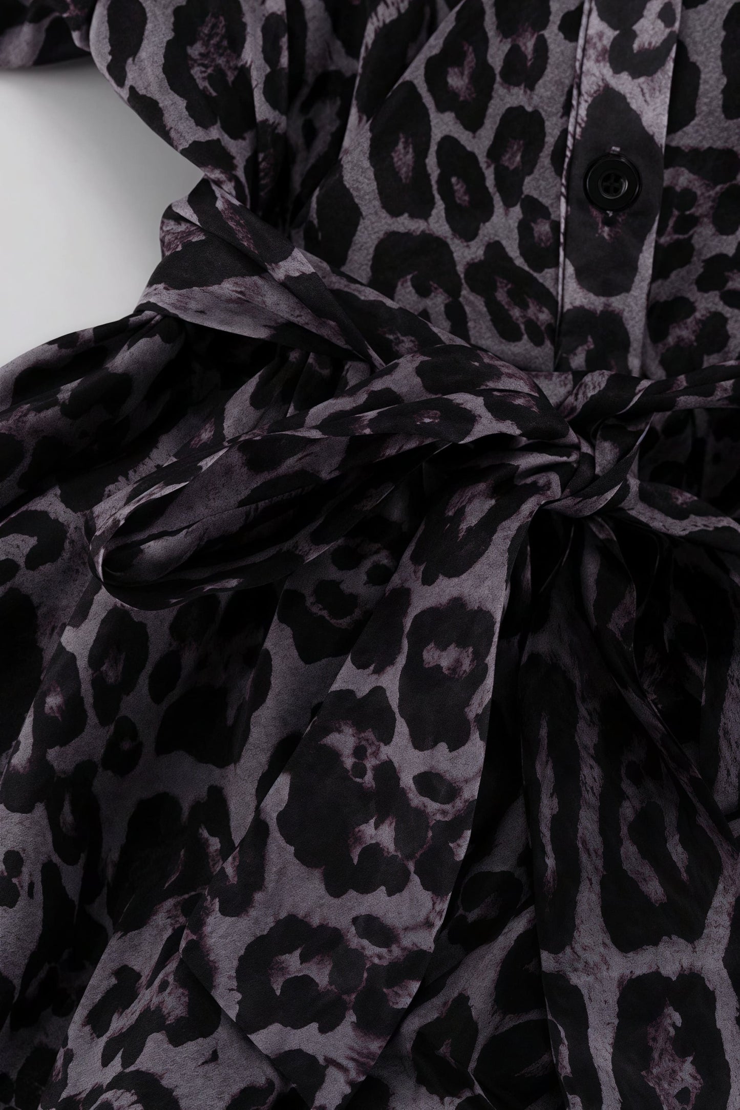 Chiffon Leopard Print Long Sleeve Mini Dress