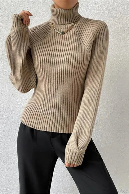 Loose Turtleneck Raglan Sleeve Sweater