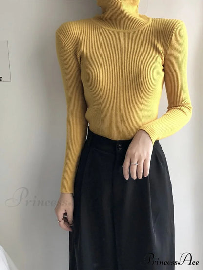 Pullover Turtleneck Solid Color Top