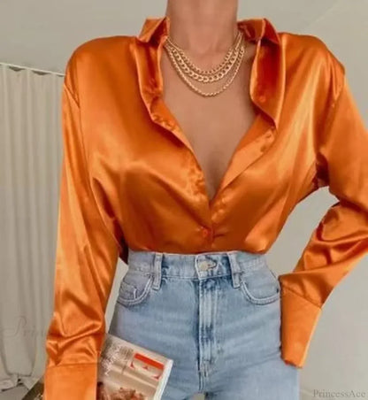 Satin Long Sleeve Vintage Blue Blouse