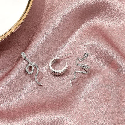 Snake Form Silver Hip Hop Stud Earring