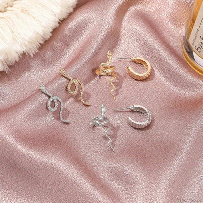 Snake Form Silver Hip Hop Stud Earring