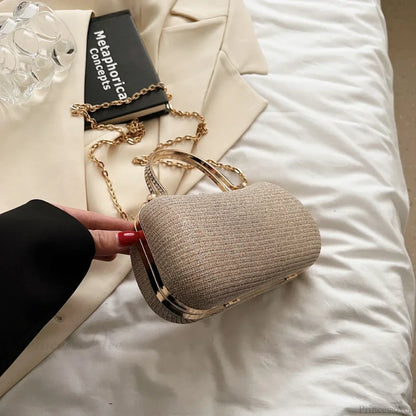 Vintage Chain Evening Shoulder Clutch Bag